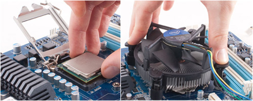 CPU Chip Installation, Processor Heat Sink and Fan Installation.